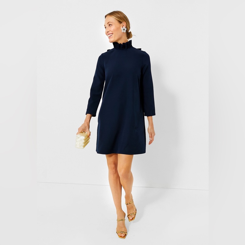Tuckernuck Navy Daphne Dress Sz Large